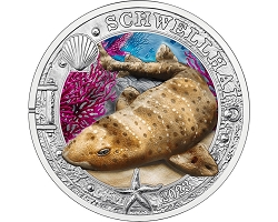 Austria  3€ 2023 - Nº2 SWELL SHARK. Marine Life