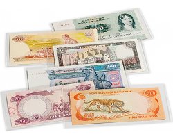 Protectors for banknotes